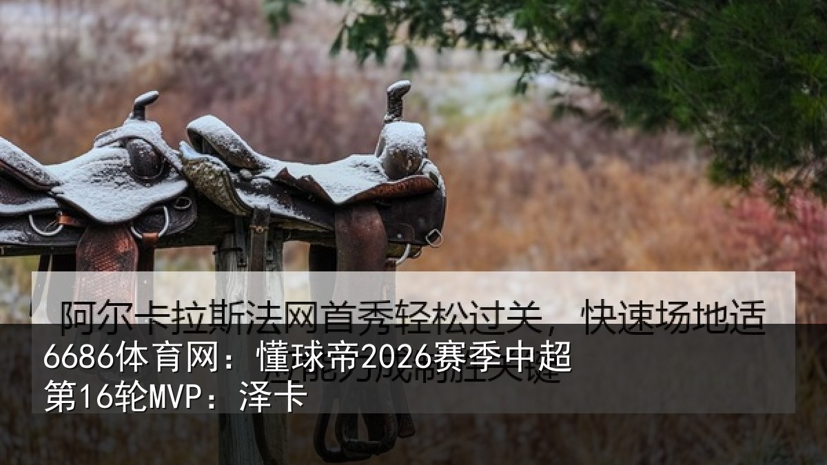 6686体育网:懂球帝2026赛季中超第16轮MVP:泽卡
